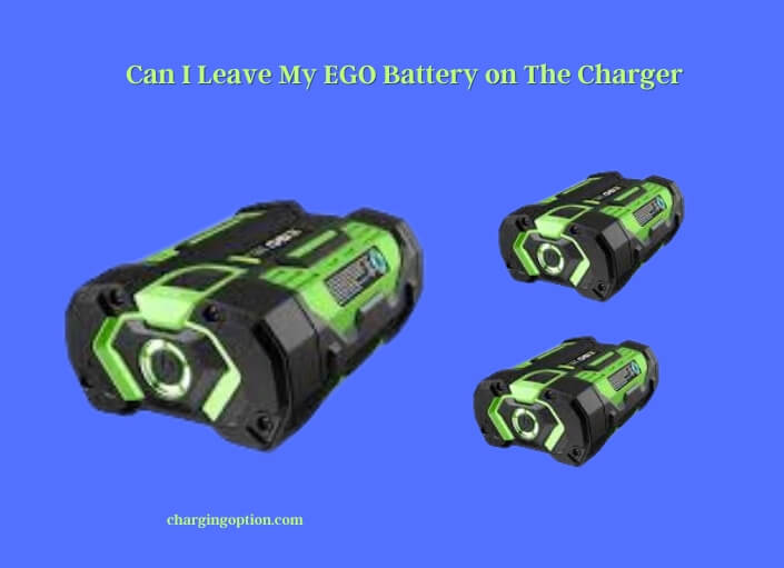 can i leave my ego battery on the charger