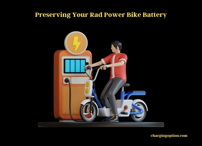 preserving your rad power bike battery