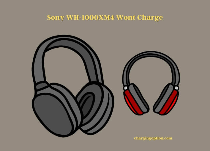 sony wh-1000xm4 wont charge