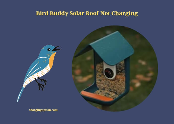 bird buddy solar roof not charging