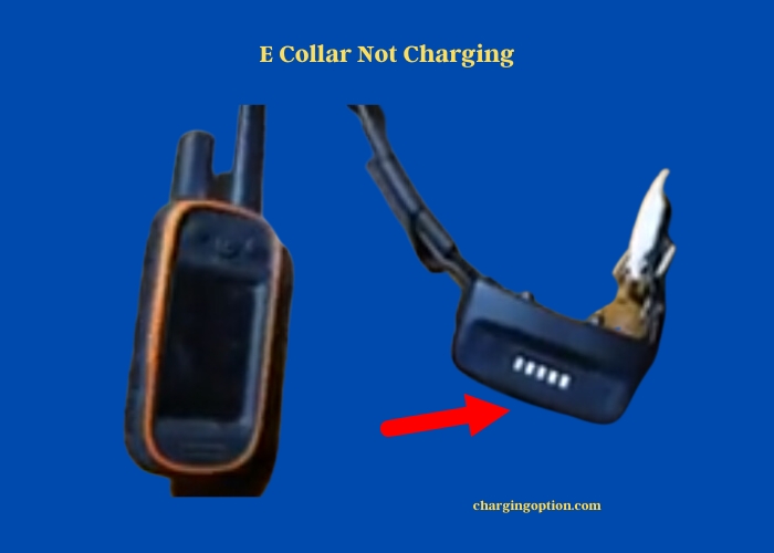 e collar not charging