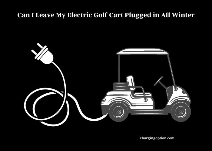 Winter Care: Should You Keep Your Electric Golf Cart Plugged In? - Charging  Option