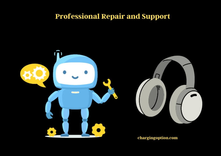 professional repair and support