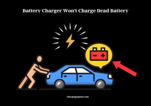 Battery Charger Won't Charge Dead Battery - Charging Option