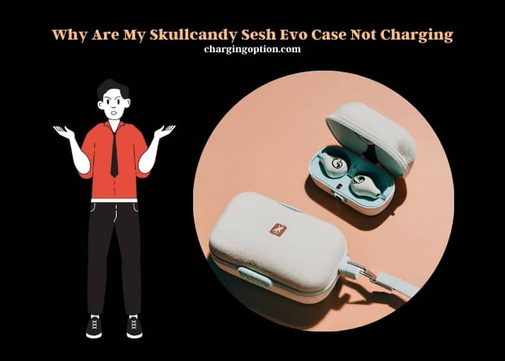 why are my skullcandy sesh evo case not charging