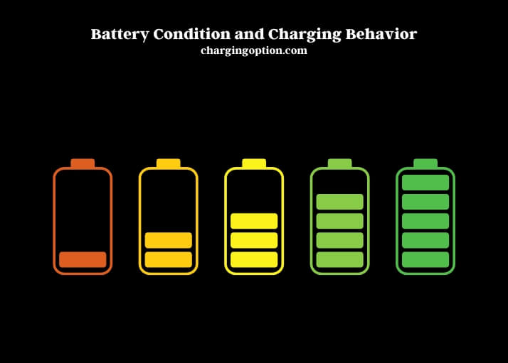 battery condition and charging behavior